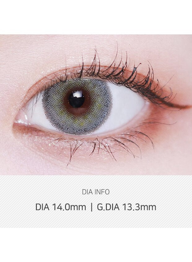 Silhouette Gray (10pcs) 1Day G.DIA 13.3mm